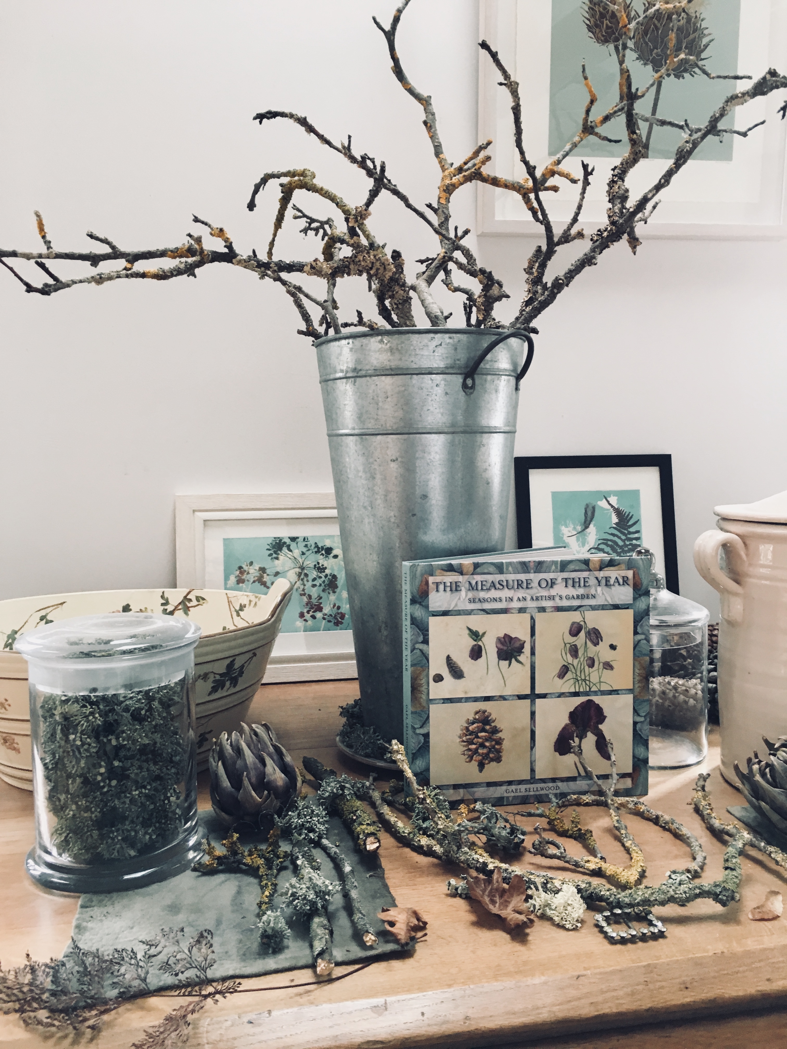 gael sellwood botanical natural history art