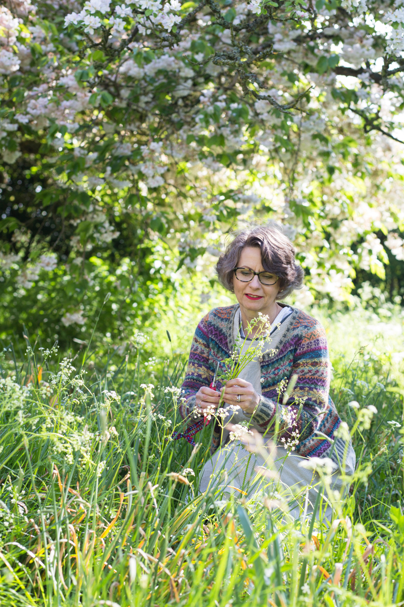 gael sellwood botanical natural history art