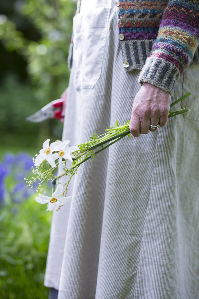 gael sellwood botanical natural history art